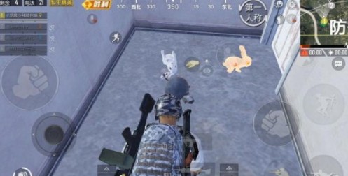 和平精英中白兔子和金兔子的对比介绍