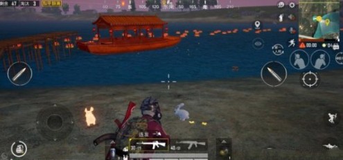 和平精英中白兔子和金兔子的对比介绍