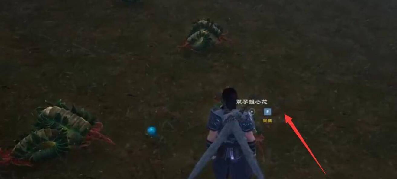 太荒初境双子蛆心花在哪儿?太荒初境双子蛆心花位置介绍