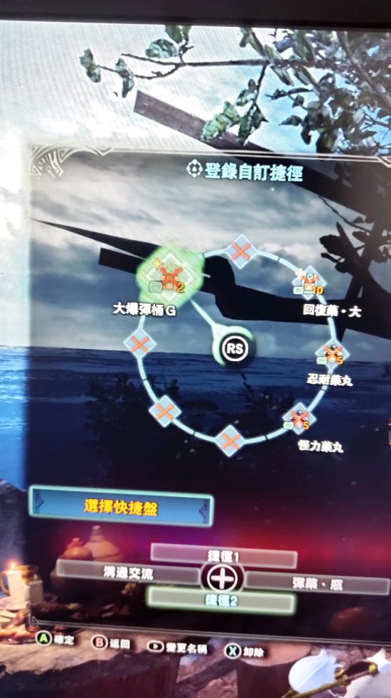 《怪物猎人世界》极贝希摩斯用奶笛配装分享