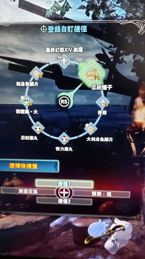 《怪物猎人世界》极贝希摩斯用奶笛配装分享