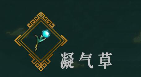 暖雪凝气草怎么样?暖雪凝气草功效介绍