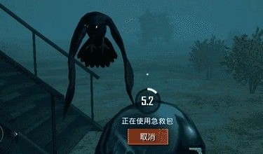 和平精英暗夜危机渡鸦实战打法攻略