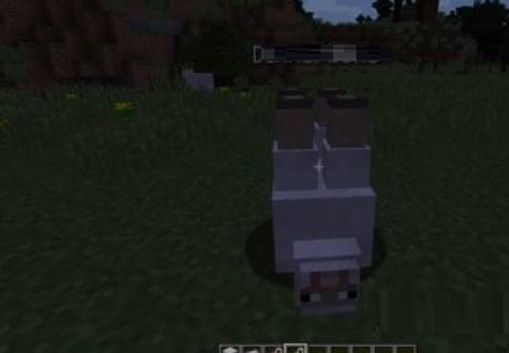 我的世界命名牌怎么用?我的世界命名牌的使用攻略