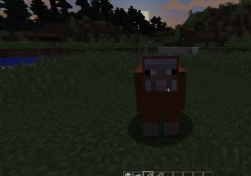 我的世界命名牌怎么用?我的世界命名牌的使用攻略