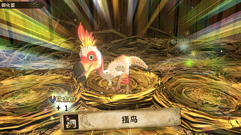 怪物猎人物语2破灭之翼怎么孵蛋？怪物猎人物语2破灭之翼孵蛋方法