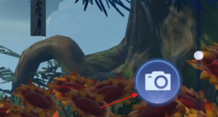 梦幻新诛仙怎样拍照？梦幻新诛仙拍照的操作方法