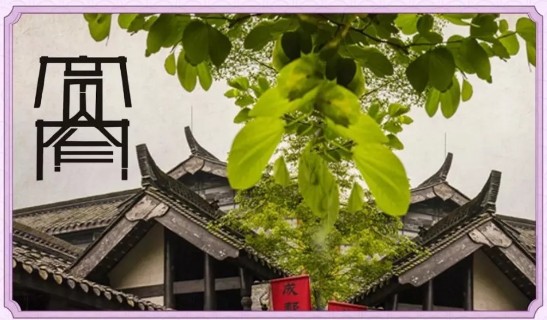 《倩女幽魂》手游踏月飞霜永久坐骑详解