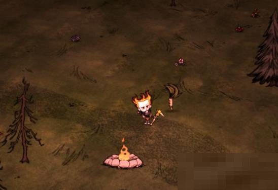 饥荒曼德拉草有什么用?饥荒曼德拉草作用介绍