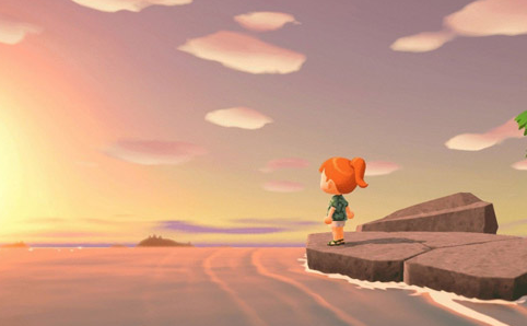 集合啦动物森友会抓黄蜂方法