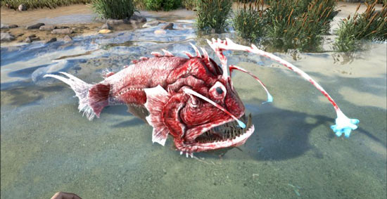 方舟生存进化安康鱼油获取方法