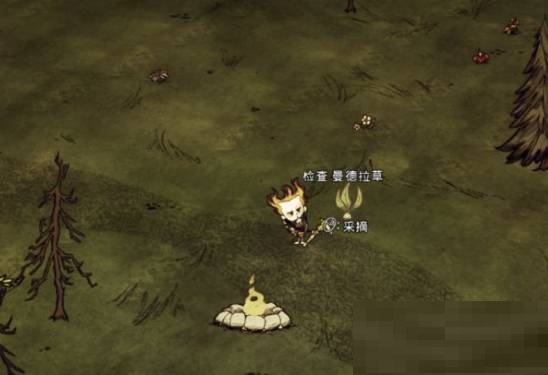 饥荒曼德拉草有什么用?饥荒曼德拉草作用介绍