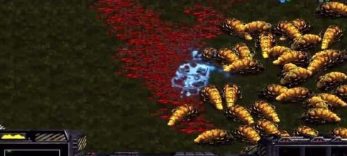 关于星际争霸中神族金甲虫如何使用。 