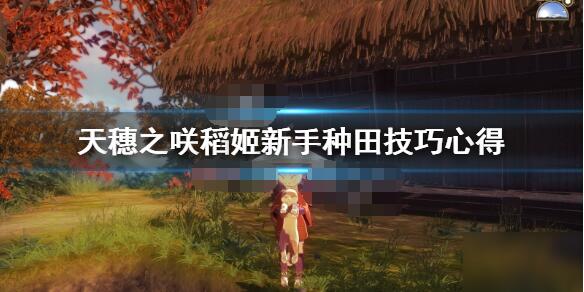 我来教你天穗之咲稻姬种田技巧详解。 