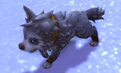 说说魔兽世界宠物霜狼幼崽怎么得。 