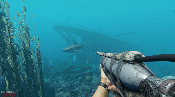 说说荒岛求生怎么造船。 