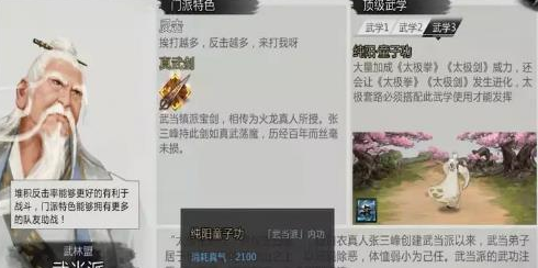 我的侠客武当派详解