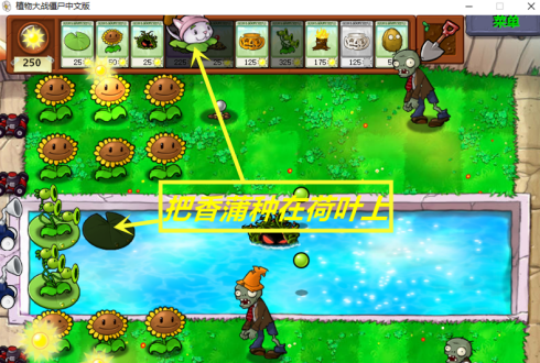 植物大战僵尸怎么用小猫？植物大战僵尸用小猫的玩法攻略