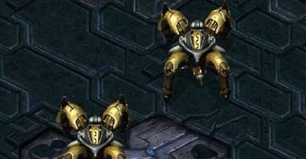 星际争霸中神族金甲虫如何使用？星际争霸中神族金甲虫使用方法