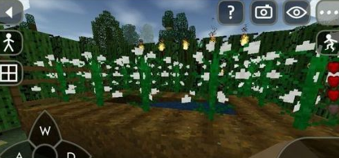 生存战争中文怎么做衣服？生存战争中文做衣服的方法