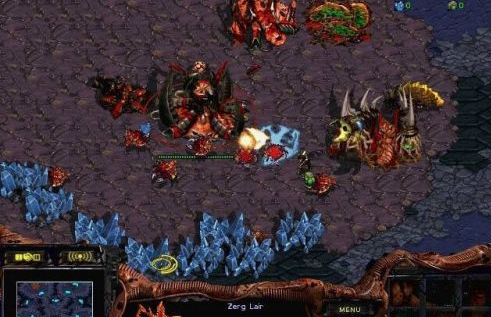 星际争霸中神族金甲虫如何使用？星际争霸中神族金甲虫使用方法