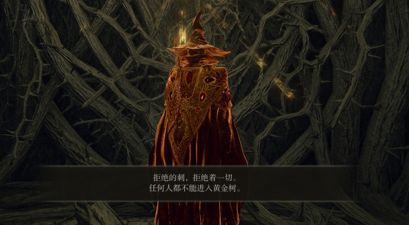 艾尔登法环荆棘墙怎么进入？艾尔登法环荆棘墙进入方法