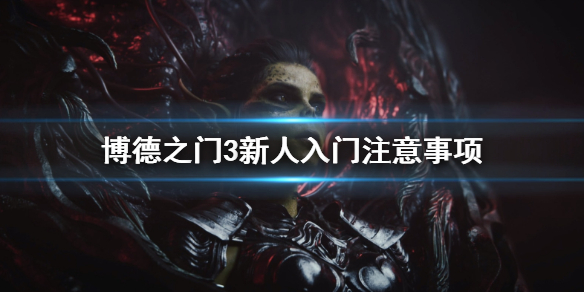 博德之门3新人怎么入门 博德之门3新人入门注意事项