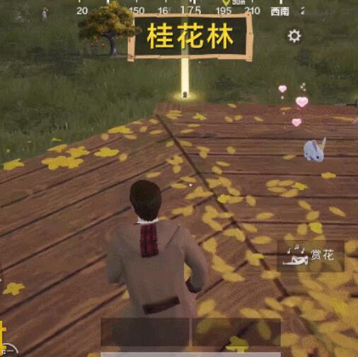 和平精英秋月兔模式详细介绍