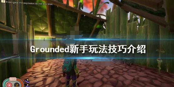 分享grounded禁闭求生新手玩法攻略。 