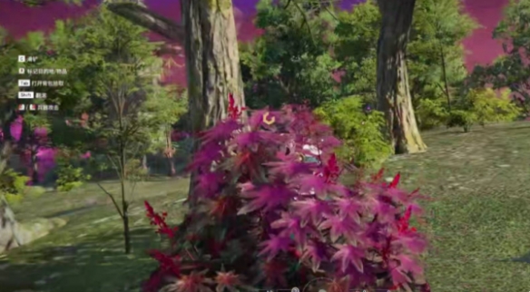 永劫无间隐身草在哪?永劫无间隐身草位置介绍