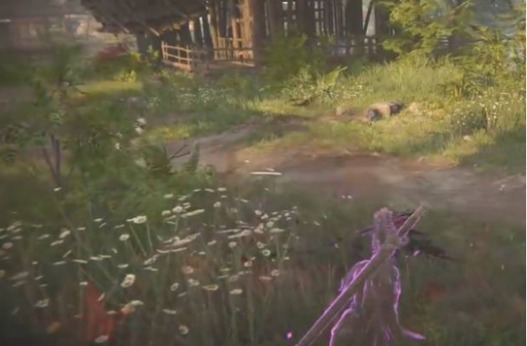 永劫无间隐身草在哪?永劫无间隐身草位置介绍