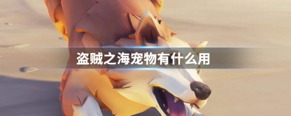 盗贼之海宠物怎么得 盗贼之海宠物有什么用