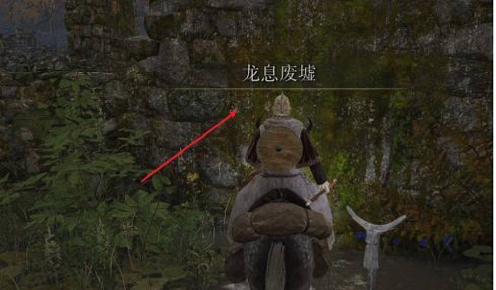 小编教你艾尔登法环龙息废墟龙在哪里。 