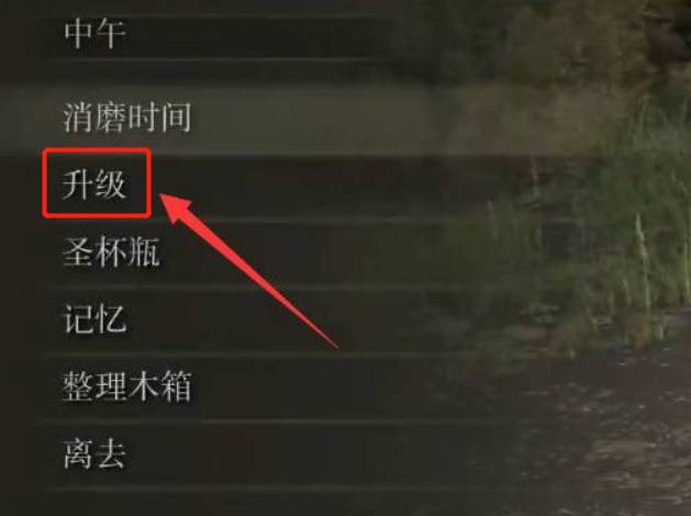 艾尔登法环出血流如何加点?艾尔登法环出血流加点方法