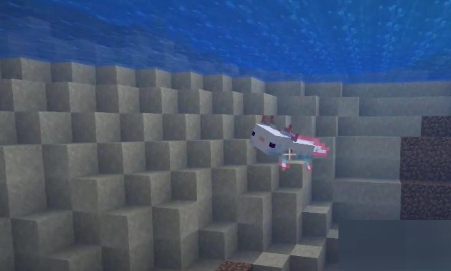 我的世界美西螈在哪里?我的世界美西螈位置介绍