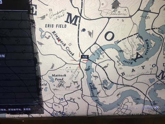 我来教你《荒野大镖客2》巴尔的摩鹂位置详解。 