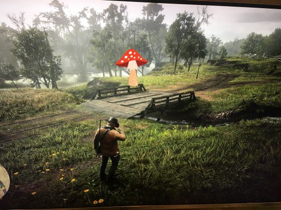 《荒野大镖客2》巴尔的摩鹂位置详解