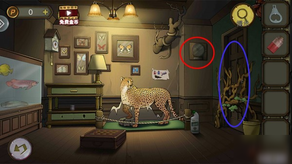 密室逃脱绝境系列10寻梦大作战第四章怎么过 寻梦大作战第四章通关攻略