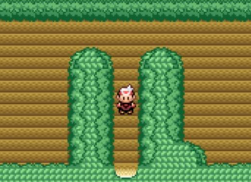 《口袋妖怪绿宝石》8.0精灵分布地点分享