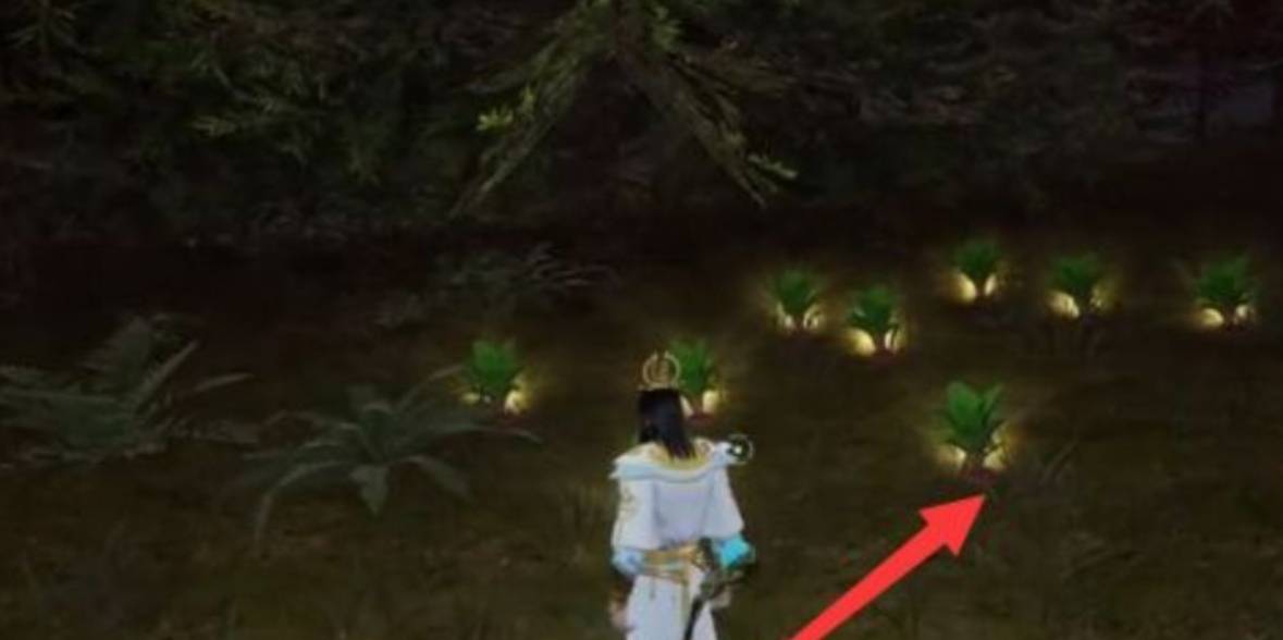 太荒初境红甜菜怎么获得?太荒初境红甜菜获得攻略