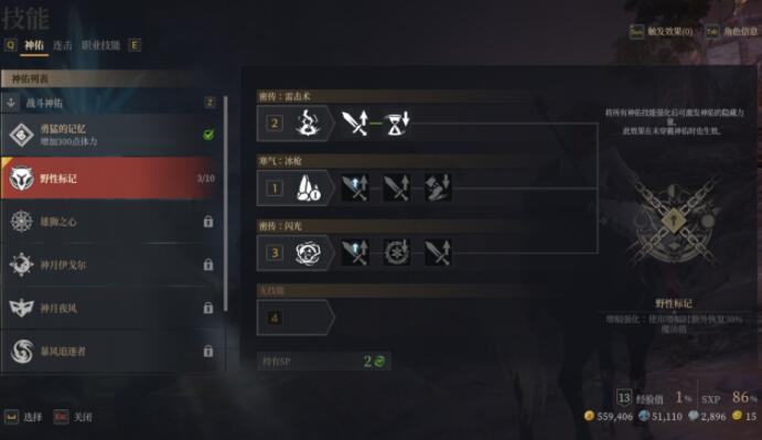 神佑释放技能怎么升级？神佑释放技能升级方法分享