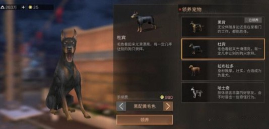 《明日之后》萌犬小哈价格与天窗家具详情介绍