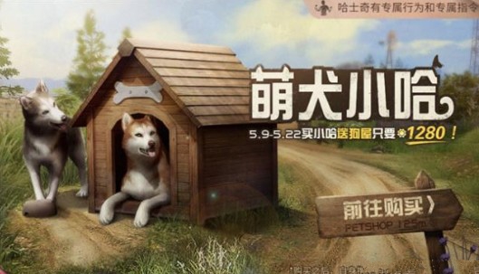 《明日之后》萌犬小哈价格与天窗家具详情介绍