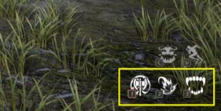 神佑释放技能怎么升级？神佑释放技能升级方法分享