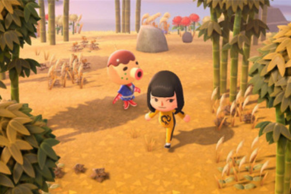 动物之森露营地移动方法