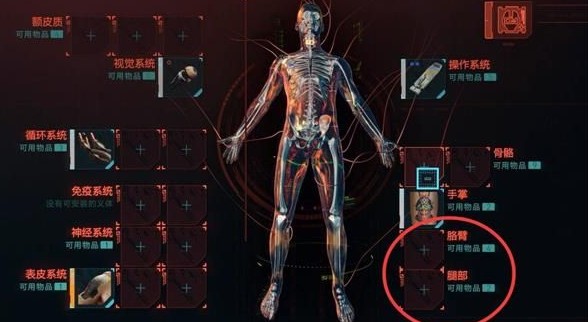 说说赛博朋克2077二段跳怎么获得。 