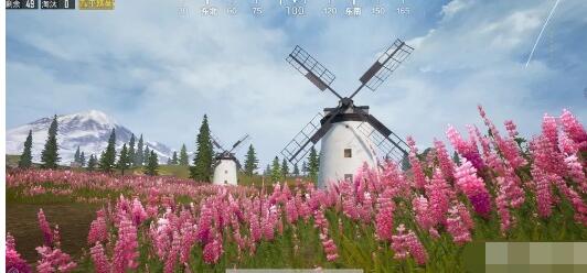 和平精英鲁冰花海在哪里 和平精英鲁冰花海位置介绍