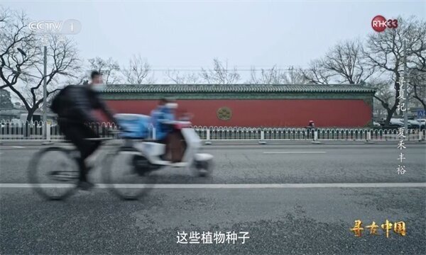 晨星电视下载 v1.4.8 3