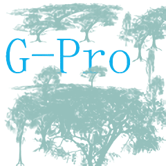 g-pro比例助手