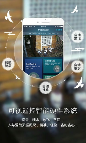 爱鸽者下载 v3.2.9 2